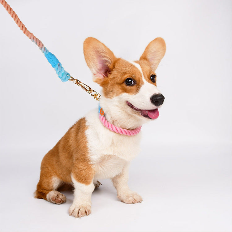 Woven Cotton Pet Leash And Collar Set Durable Walking Gear