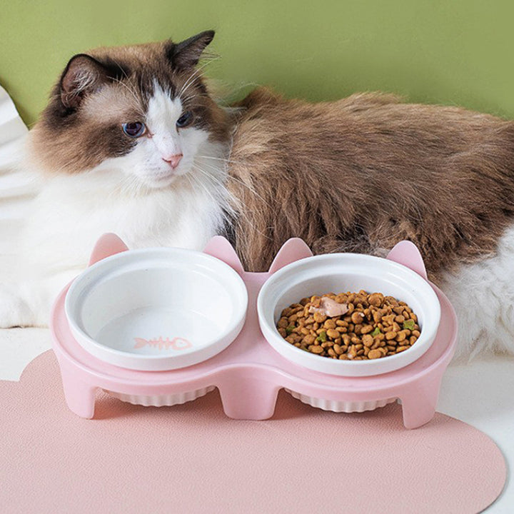 Ceramic Double Pet Bowl Elevated Tilted Feeding And Water Dish