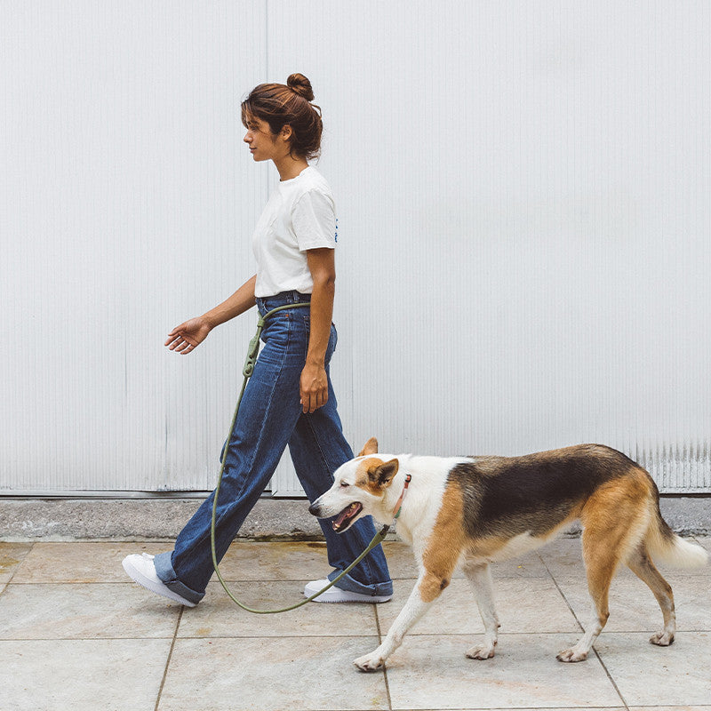 Pet Fashion Minimalist Adjustable Slant Leash
