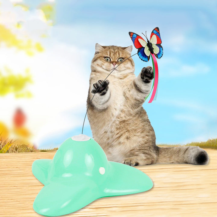 Educational Pet Toys