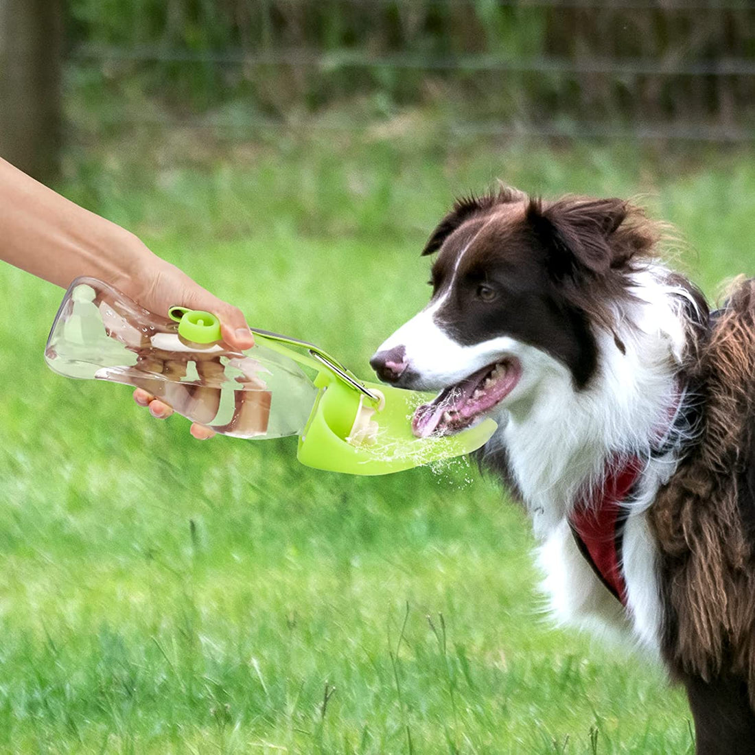 Portable Pet Water Dispenser Leak Proof Bottle With Cup Bowl