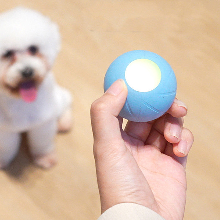 Interactive Pet Teasing Stick and Smart Rolling Ball Toy
