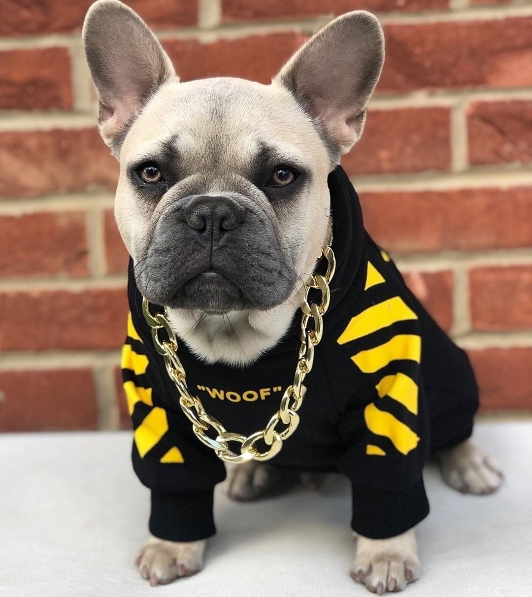 Pet Fashion Three-Stripe Sweater Autumn Winter Sports Clothing