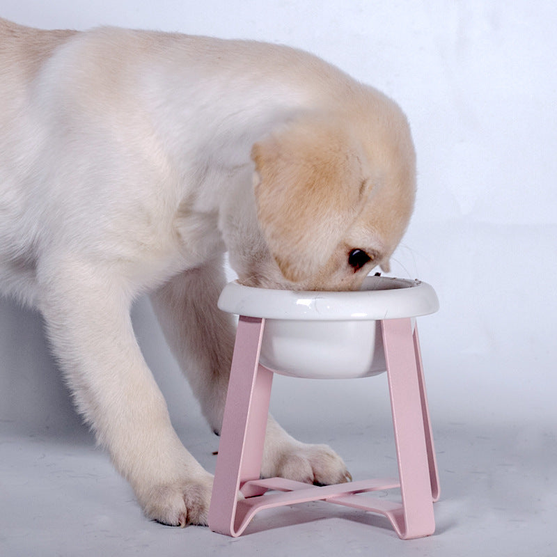Creative Pet Bowls 2-in-1 Antislip Food and Water Feeder