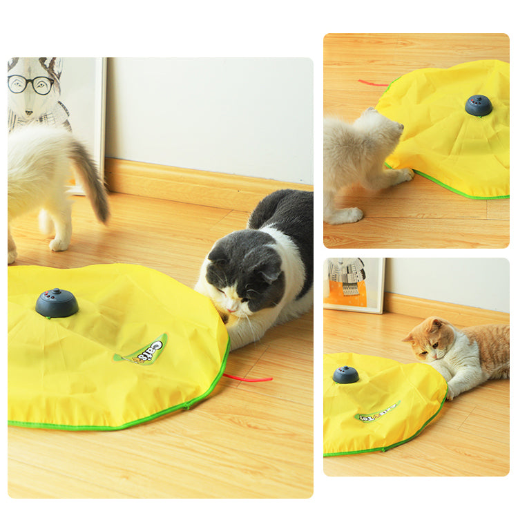 Self-Play Automatic Rotating Electric Pet Turntable Toy
