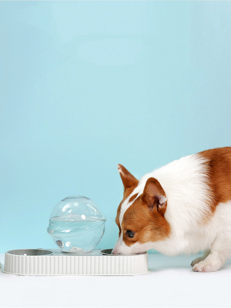 Automatic Plastic Pet Water and Food Dispenser Feeder