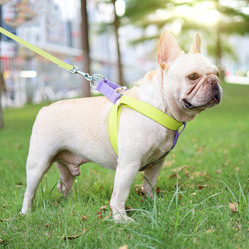 Colorful Pet Drawstring Vest Leash Adjustable Walking Harness