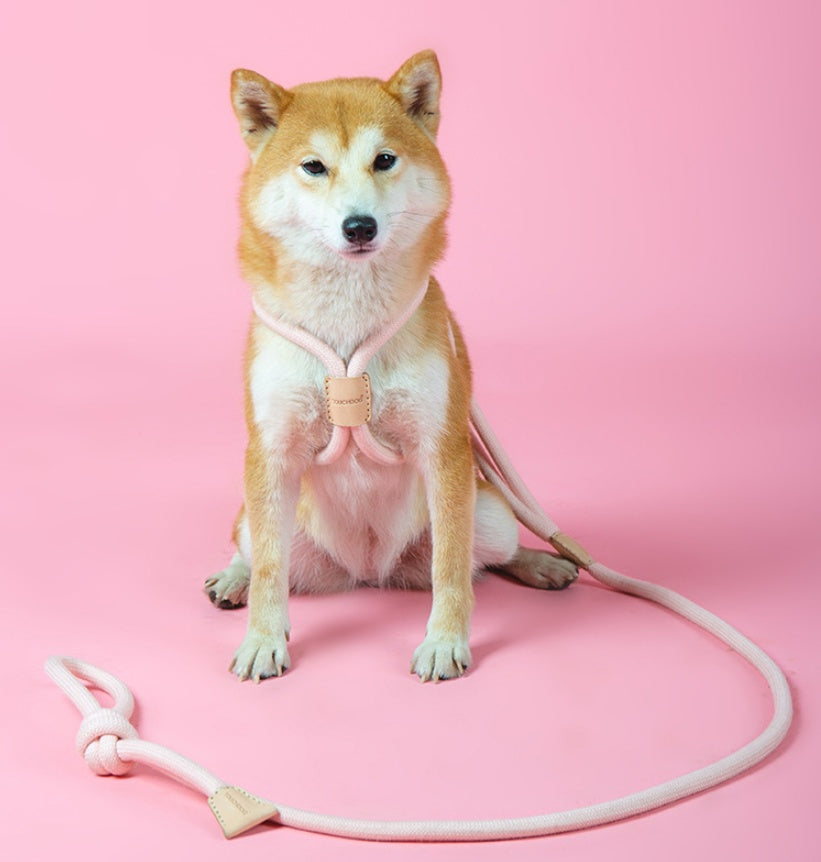 Pet Dual-Purpose Integrated Round Rope Leash Durable Walking Lead
