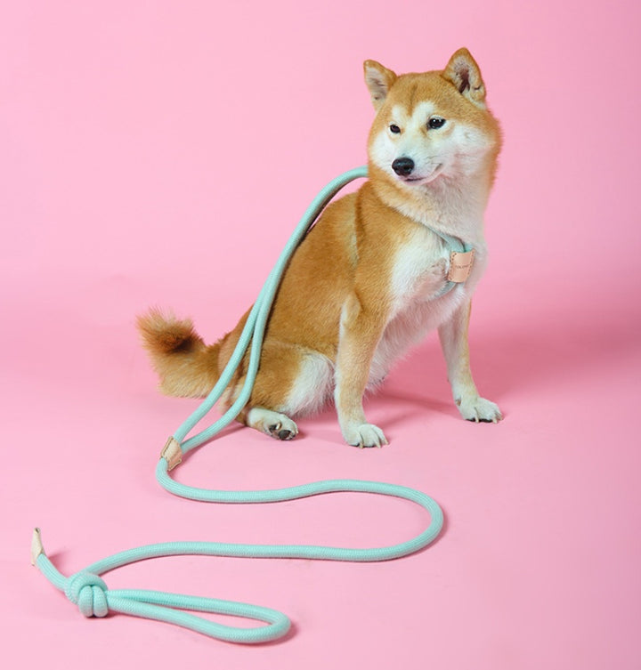 Pet Dual-Purpose Integrated Round Rope Leash Durable Walking Lead