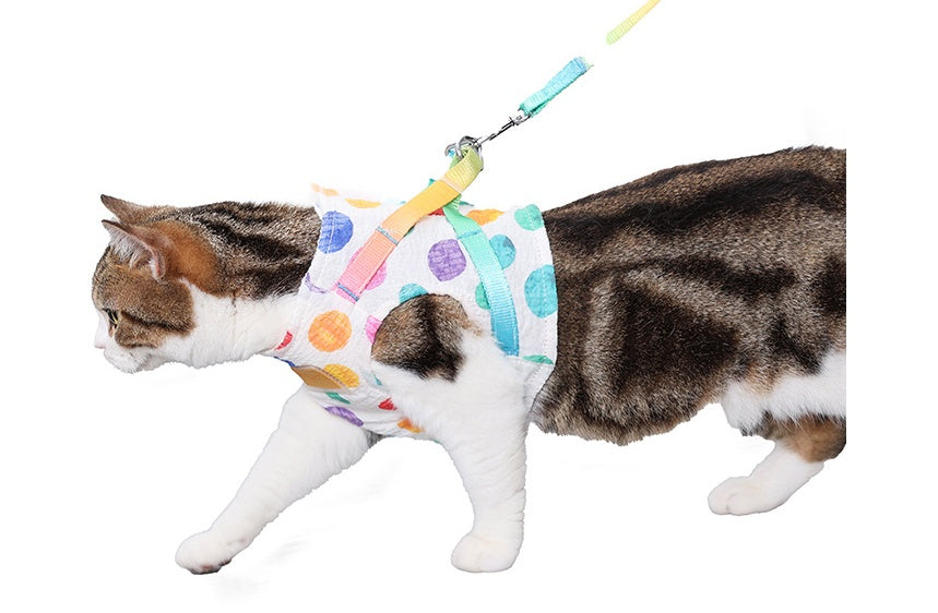 Pet Adjustable Chest Harness Leash For Small And Medium Pets