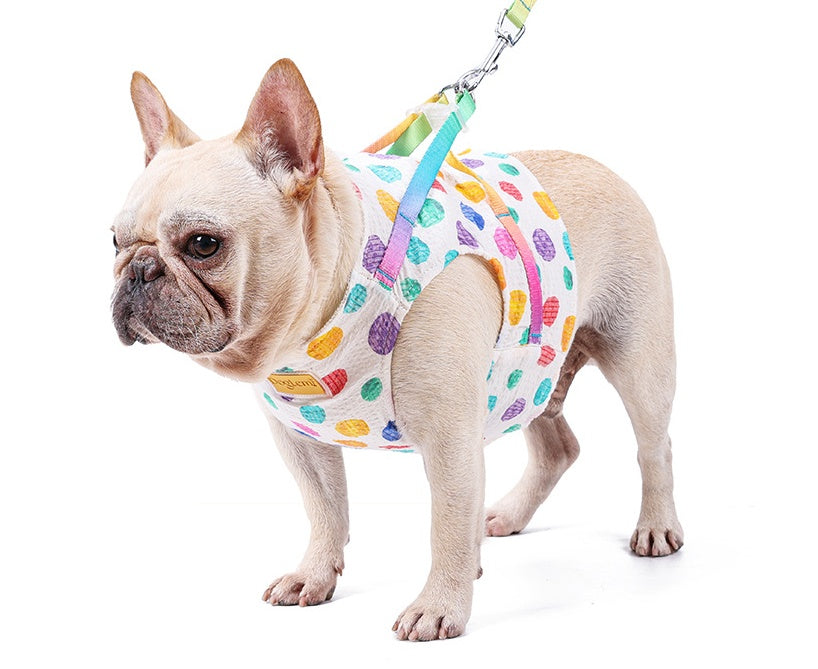 Pet Adjustable Chest Harness Leash For Small And Medium Pets