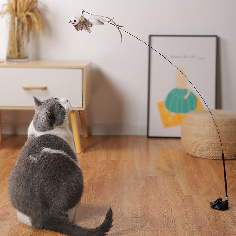 Adjustable Pet Teaser Stick Replaceable Head Steel Wire Feather Toy