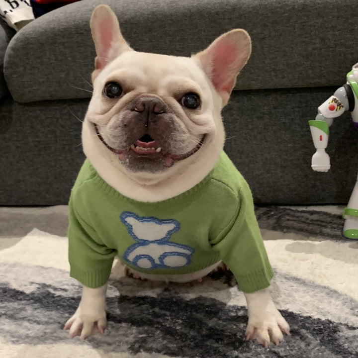 Pet Sweater Fall Winter Soft Warm Knit Clothing