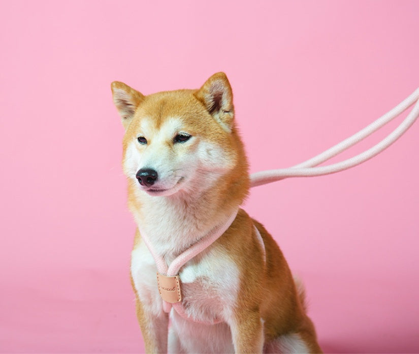Pet Dual-Purpose Integrated Round Rope Leash Durable Walking Lead