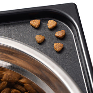 Pet Feeding Bowl with Neck Protection Anti-Tumble Medium Large