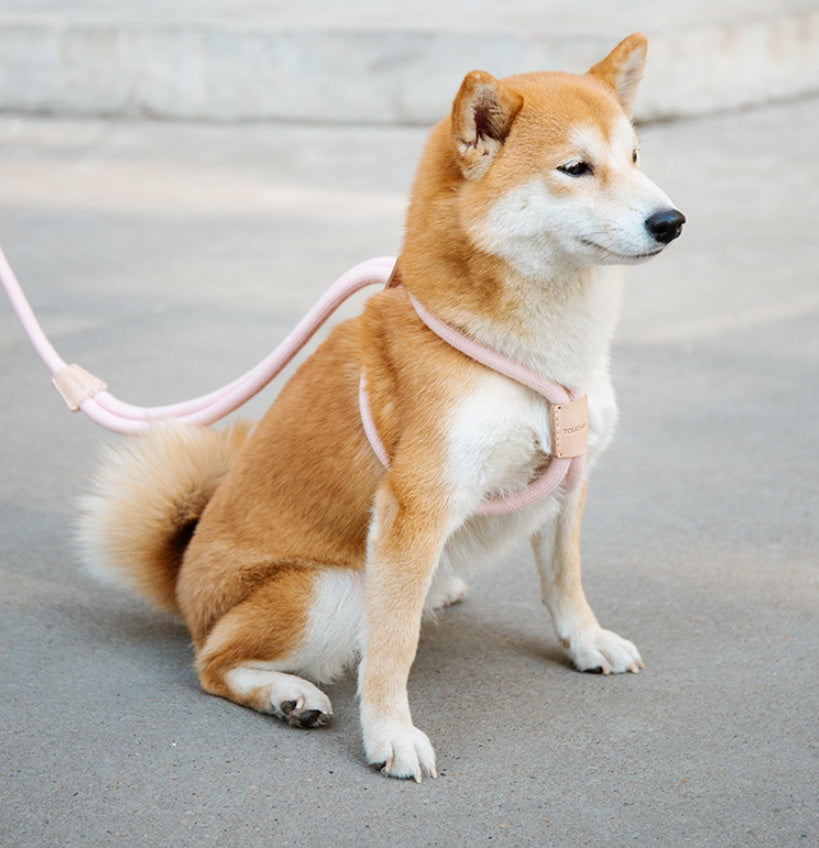 Pet Dual-Purpose Integrated Round Rope Leash Durable Walking Lead