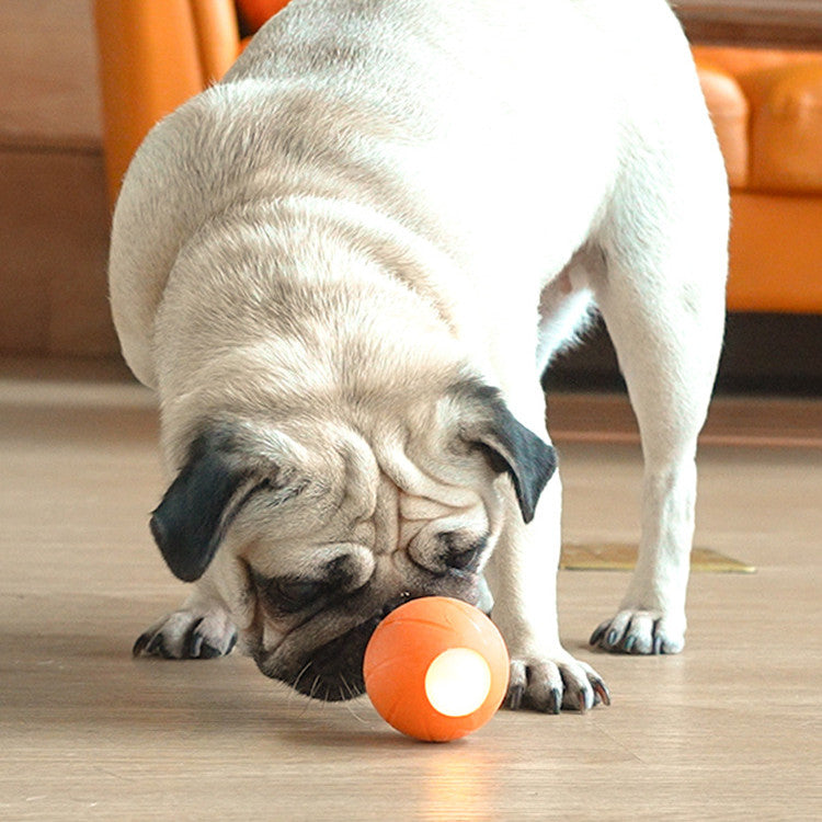 Interactive Pet Teasing Stick and Smart Rolling Ball Toy