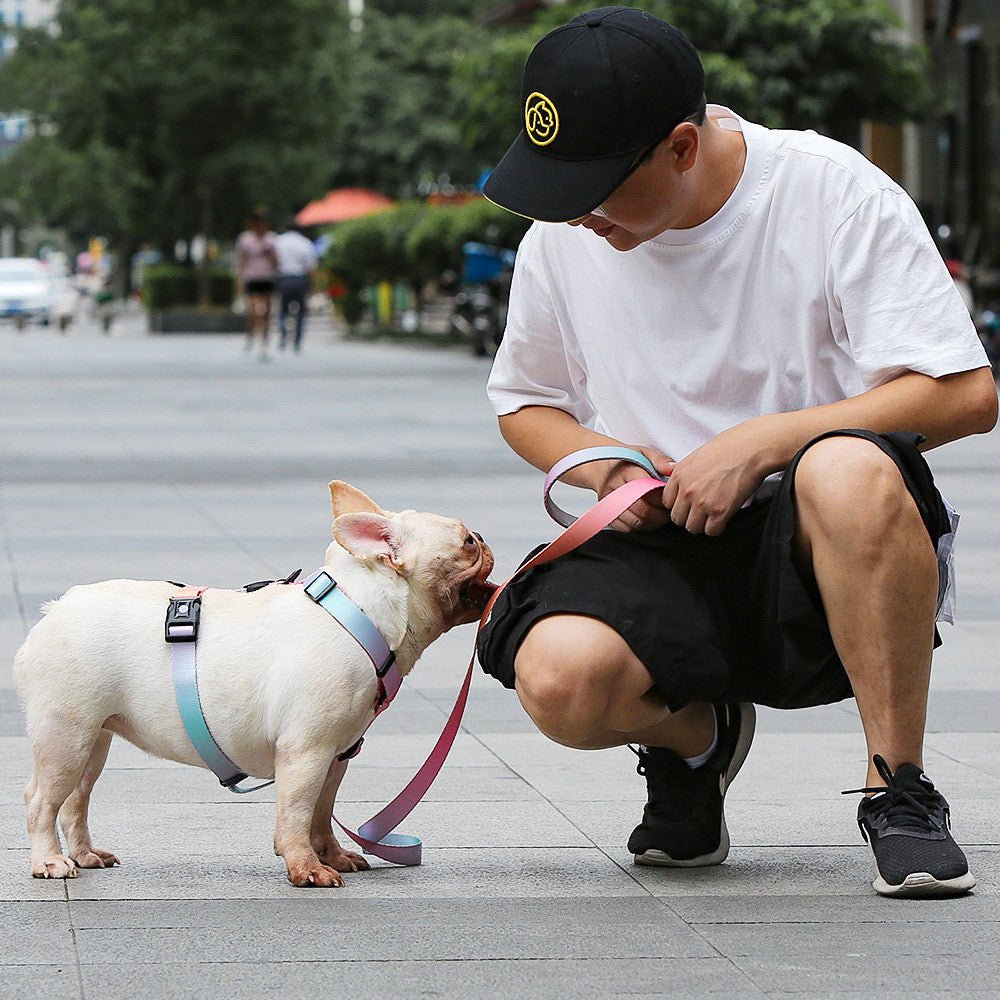 Pet Leash Adjustable For Small And Medium Pets