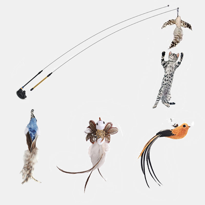Adjustable Pet Teaser Stick Replaceable Head Steel Wire Feather Toy