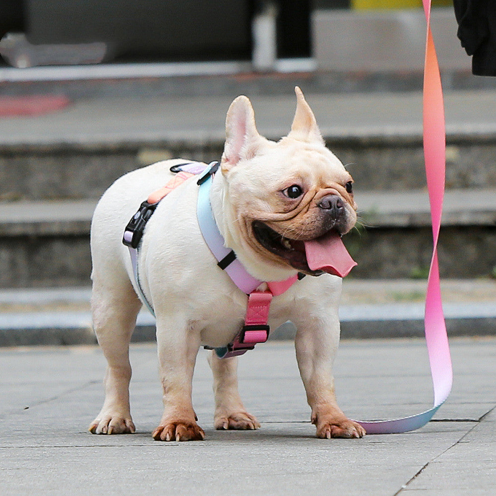 Pet Leash Adjustable For Small And Medium Pets