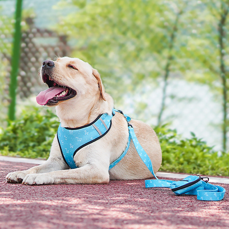 Pet Leash And Harness Set With Decorative Bow