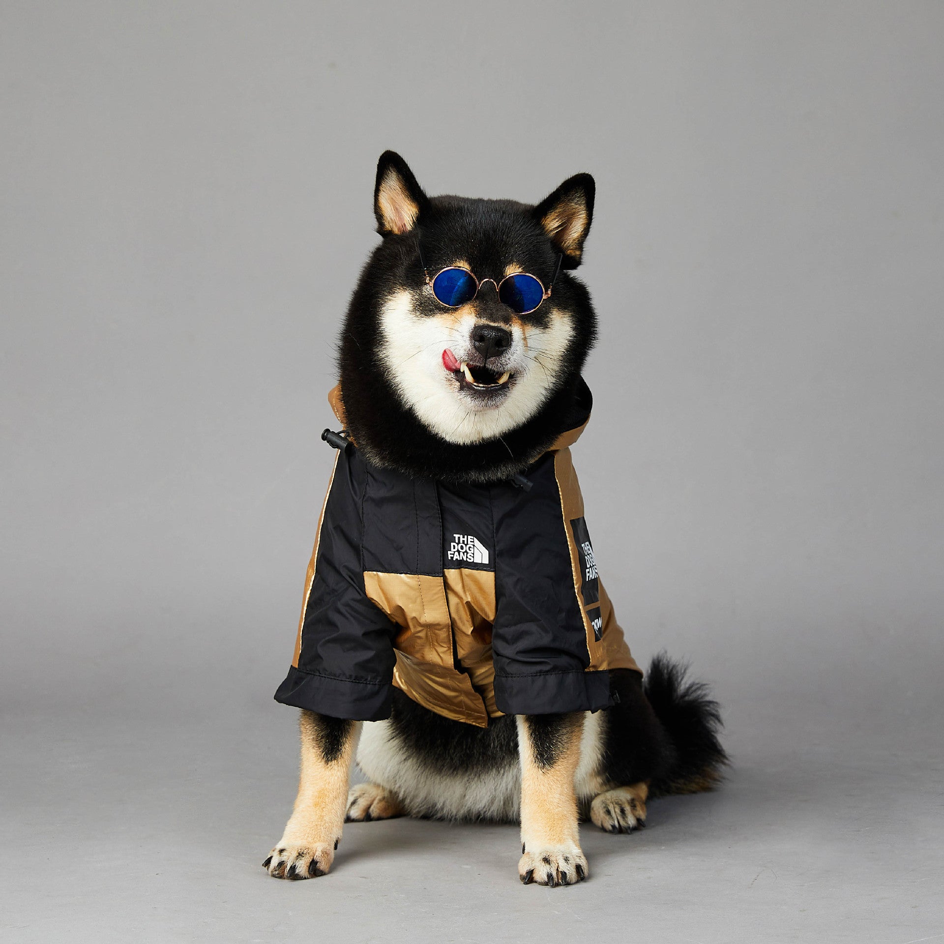 Pet Large Raincoat Waterproof Jacket for Pets