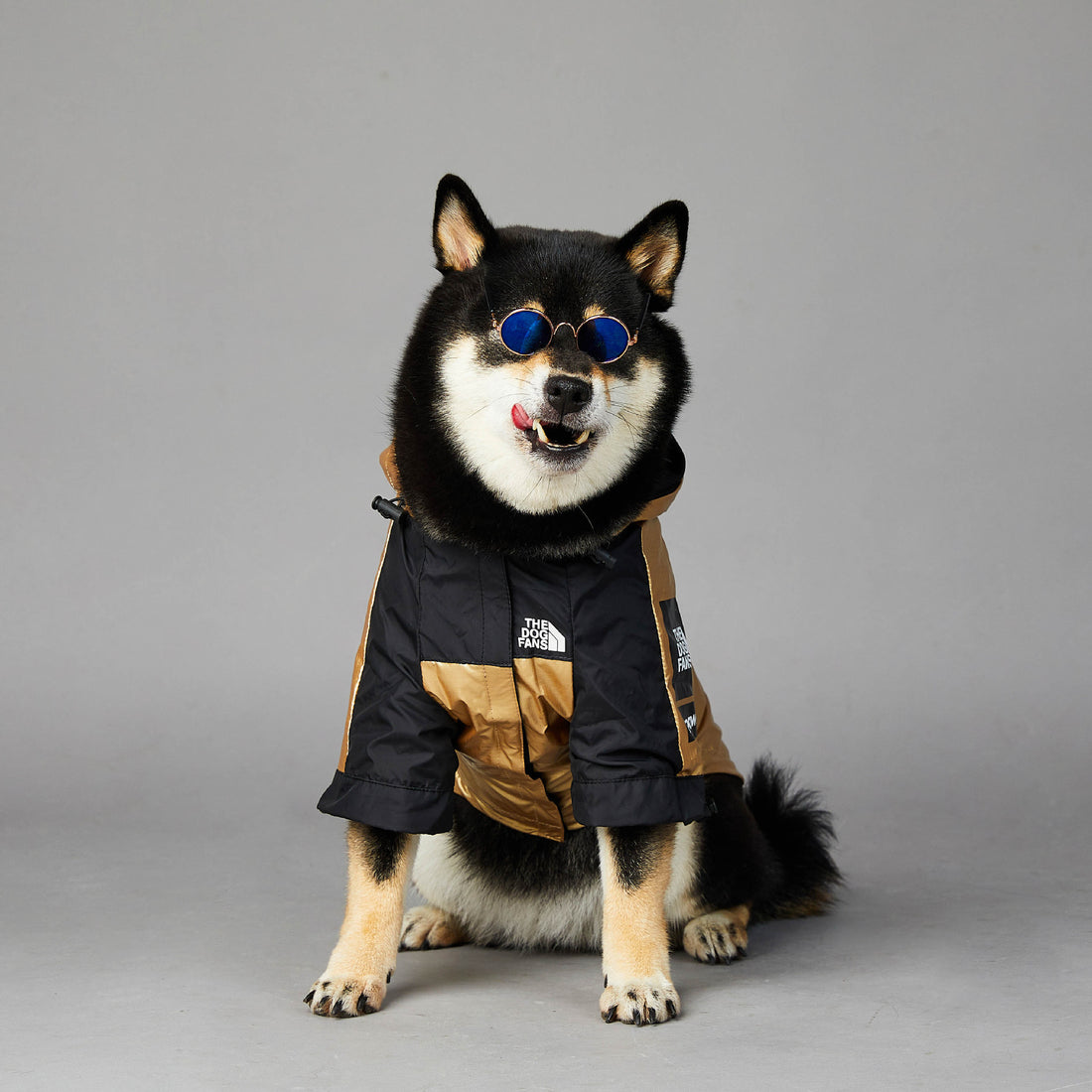 Pet Large Raincoat Waterproof Jacket for Pets