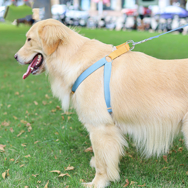 Colorful Pet Drawstring Vest Leash Adjustable Walking Harness