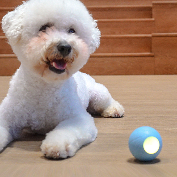 Interactive Pet Teasing Stick and Smart Rolling Ball Toy