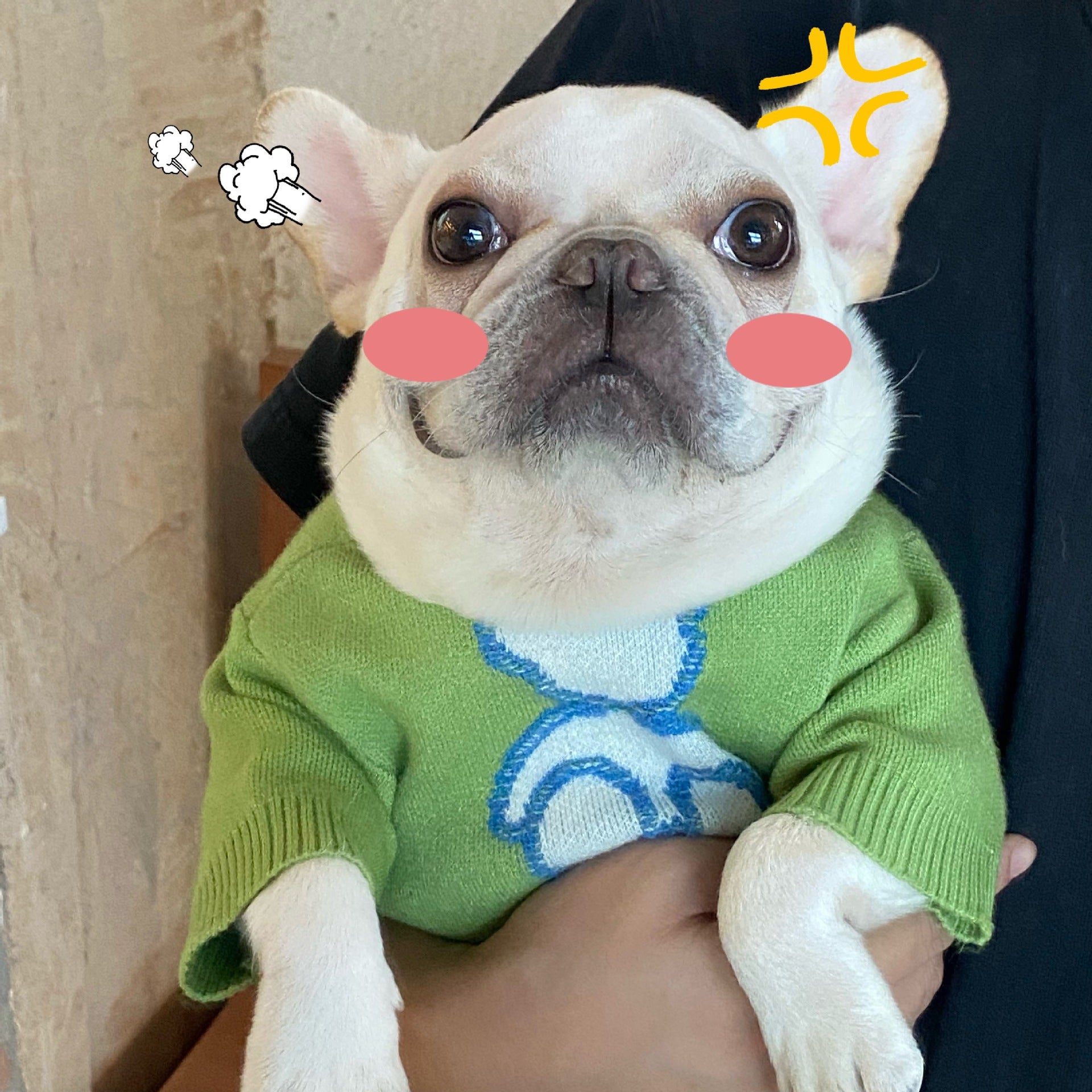 Pet Sweater Fall Winter Soft Warm Knit Clothing