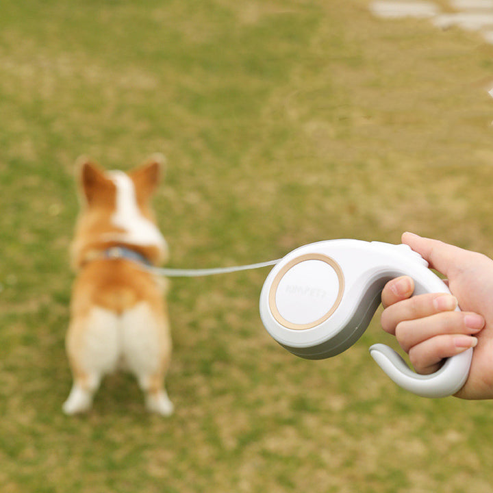 Automatic Retractable Pet Leash Durable Walking Lead