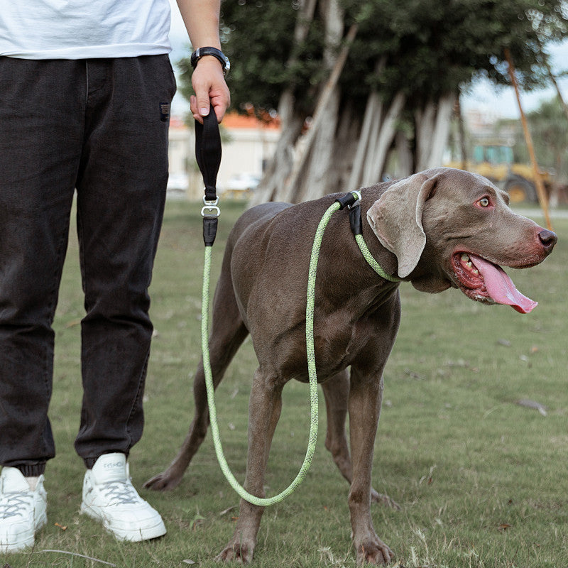 Fashion Simple Explosion-Proof Pet Leash Durable Walking Lead