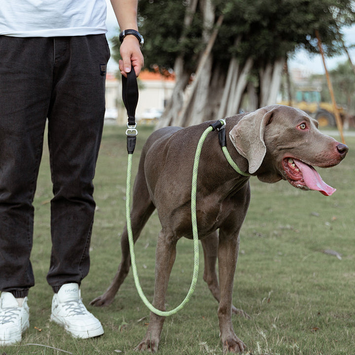 Fashion Simple Explosion-Proof Pet Leash Durable Walking Lead