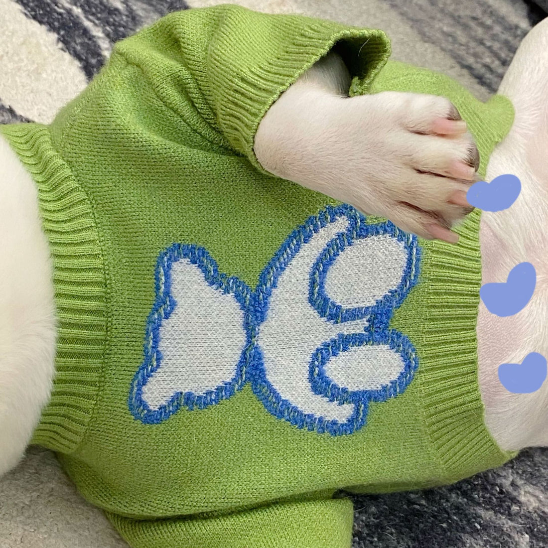Pet Sweater Fall Winter Soft Warm Knit Clothing