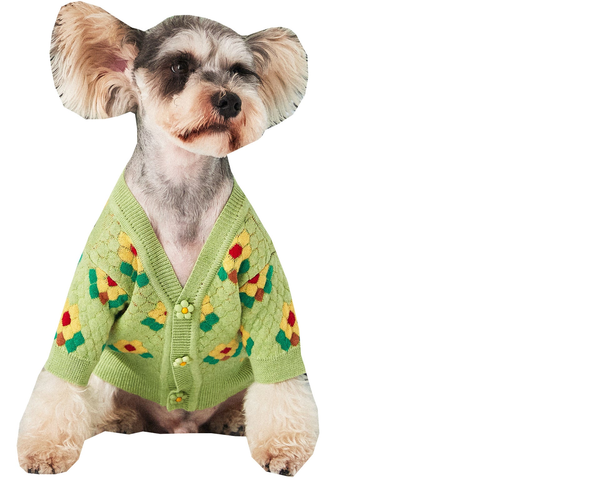 Pet Clothes Small Flower Sweater Cardigan Soft Warm Knit