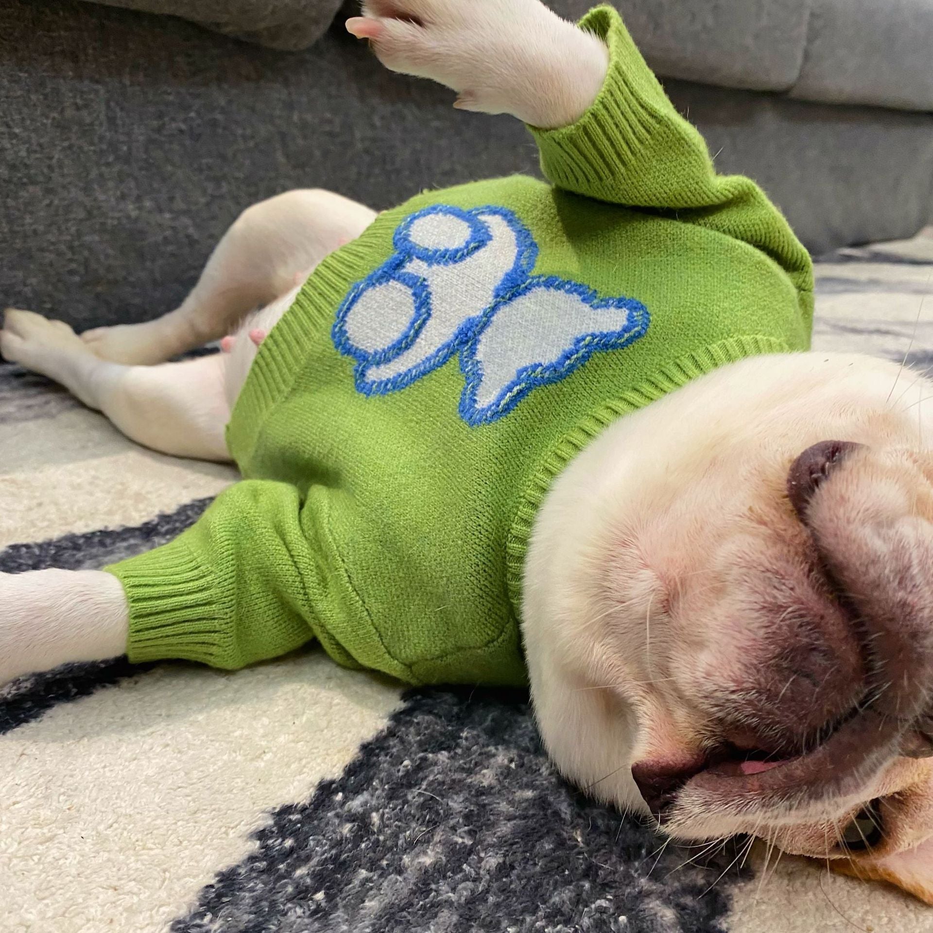 Pet Sweater Fall Winter Soft Warm Knit Clothing