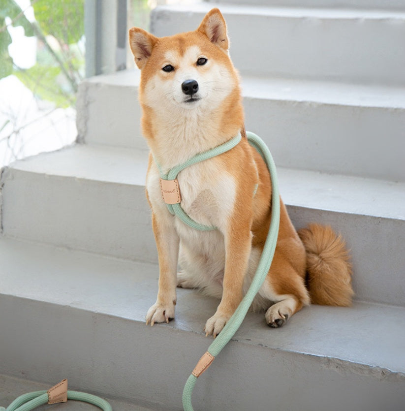 Pet Dual-Purpose Integrated Round Rope Leash Durable Walking Lead