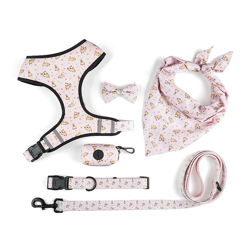 Pet Leash And Harness Set With Decorative Bow